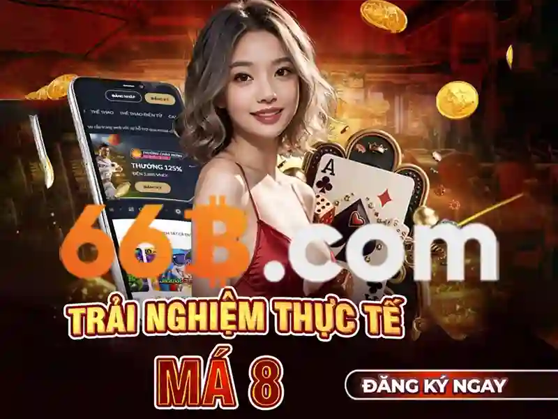 66B là gì?