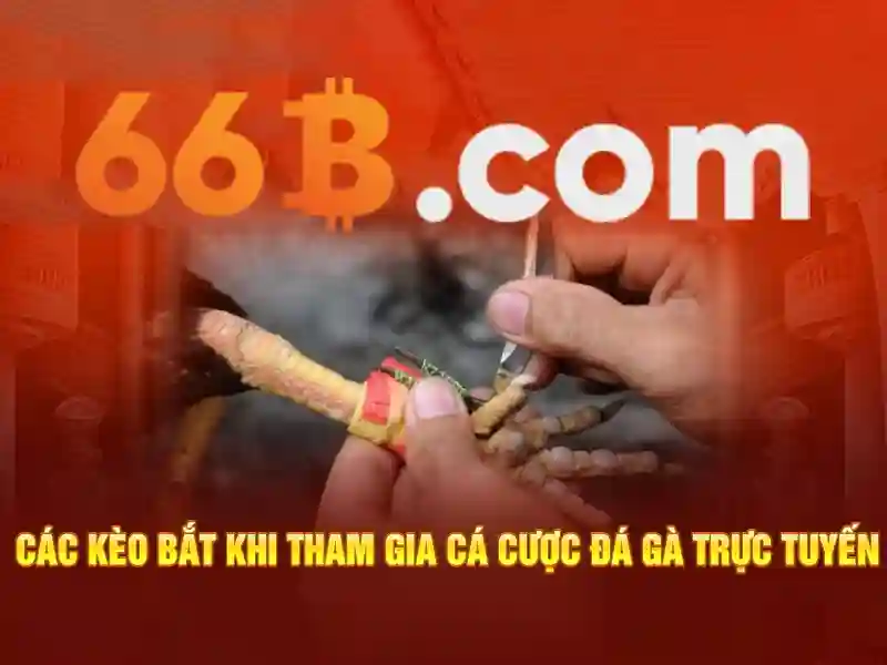 Lưu ý về đạo đức và hiệu suất