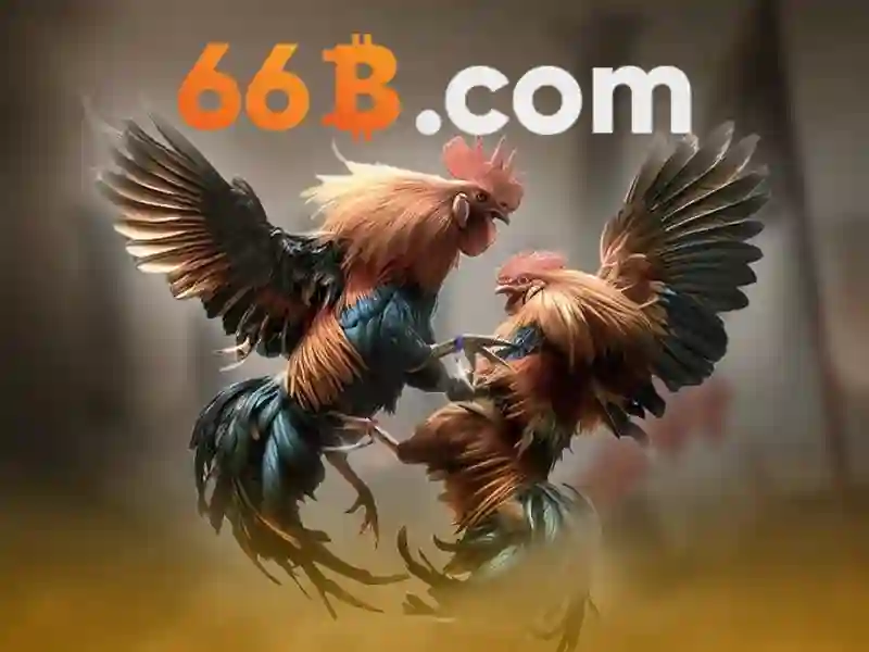 Ứng dụng của 66b