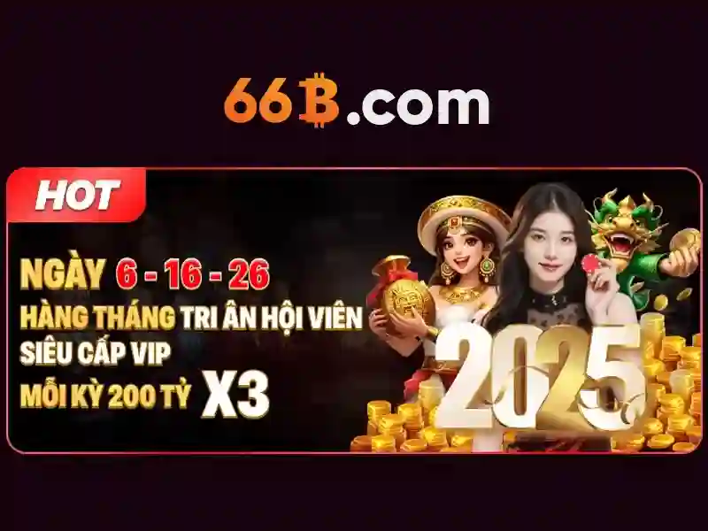 66b là gì?