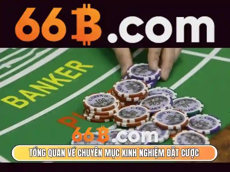66b trong lập trình và AI