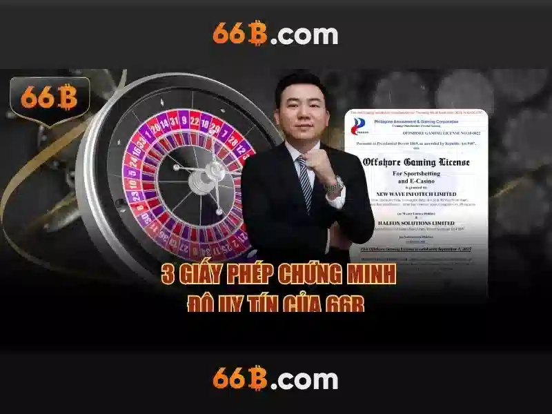 Cấu trúc và kích thước của 66B