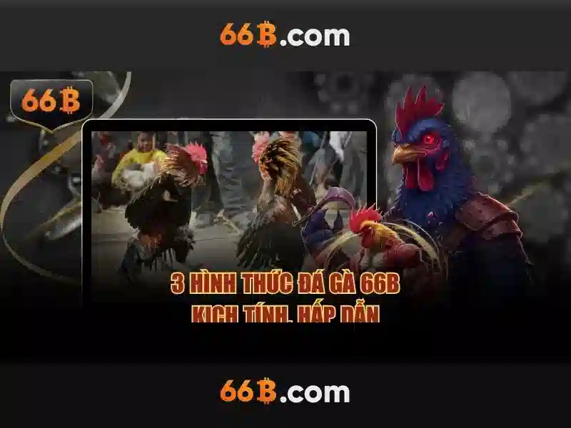Giới thiệu về 66b