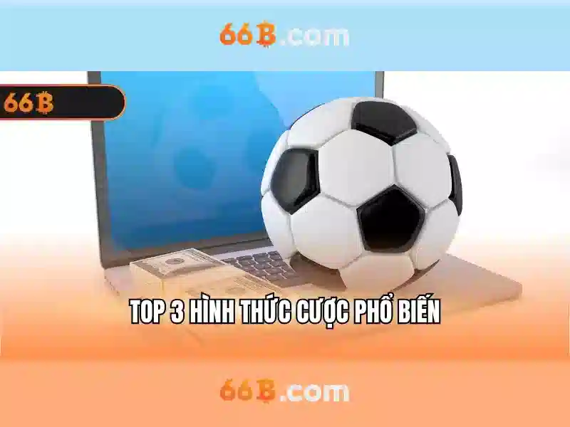 Cấu trúc và tham số của 66b