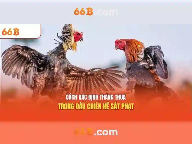 Phương pháp tiếp cận và triển khai