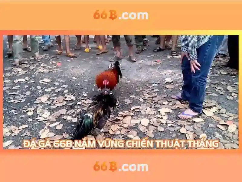 66B: Mô hình ngôn ngữ quy mô lớn