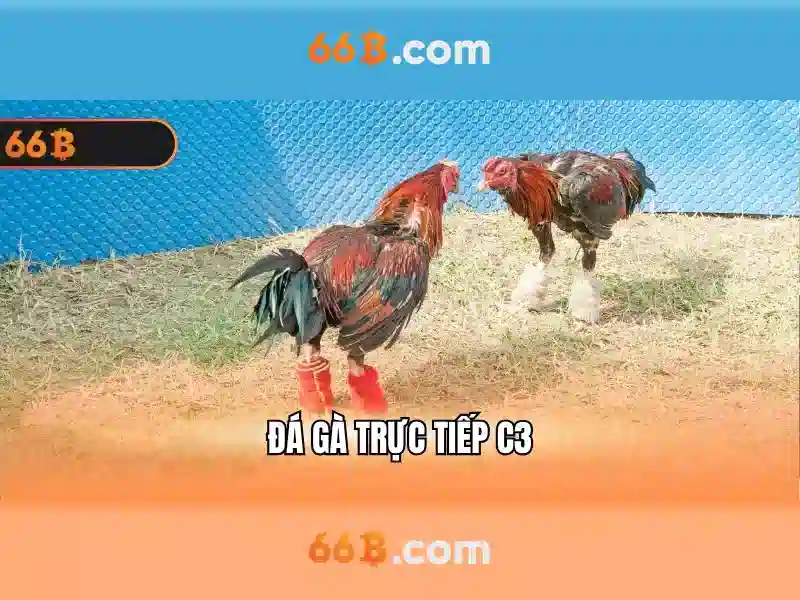 Việt Vị Trong Bóng Đá