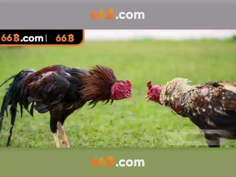 Việt Vị Trong Bóng Đá