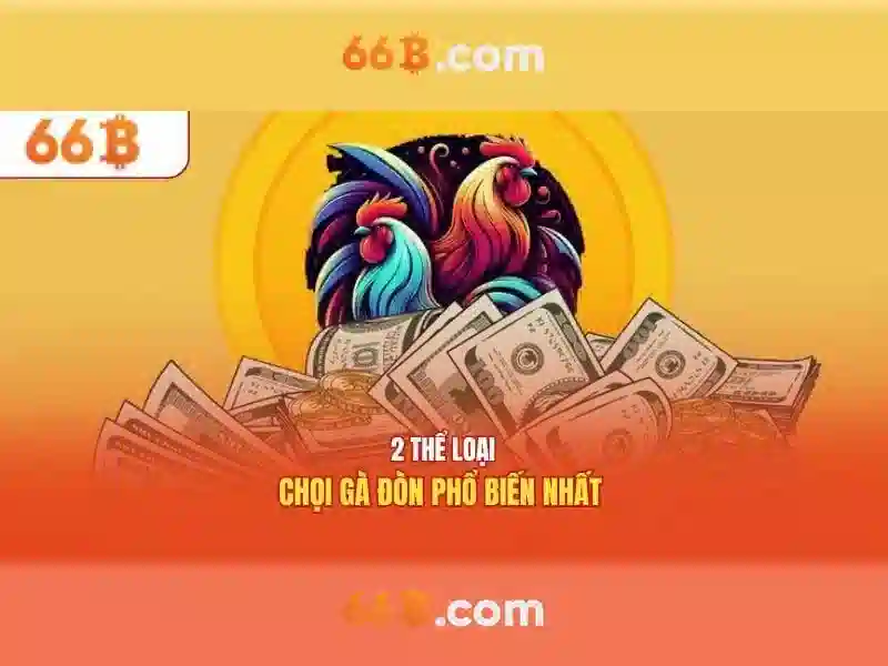 66b là gì