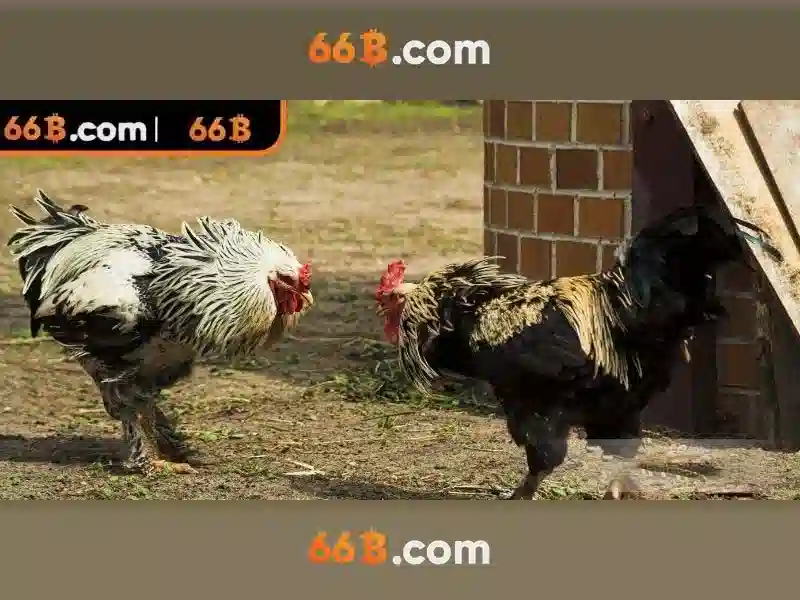 Ứng dụng và triển vọng của 66b