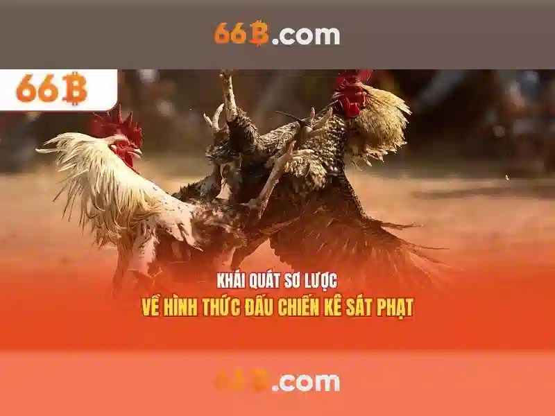 Việt Vị Trong Bóng Đá