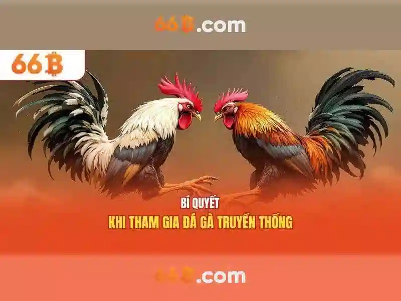 66b là gì