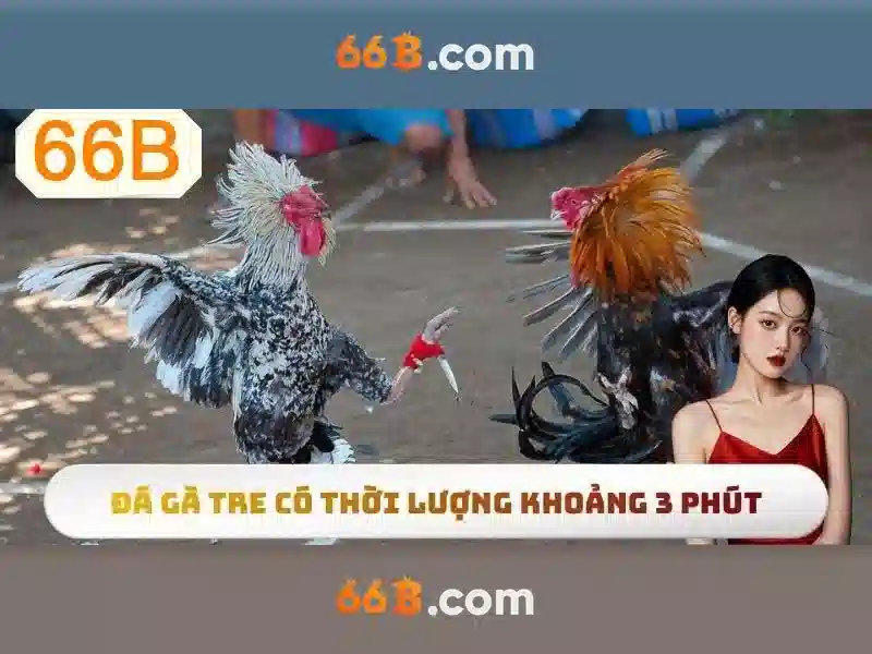 Ứng dụng thực tế