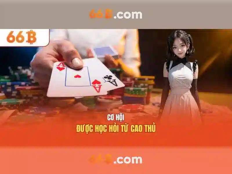 Nguồn gốc và ý nghĩa của 66B