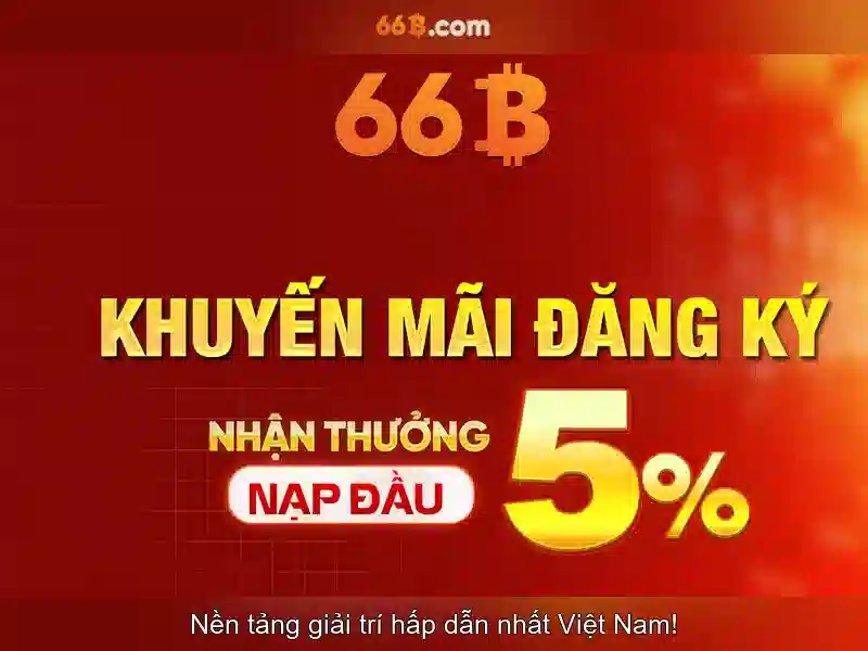 66b-branding