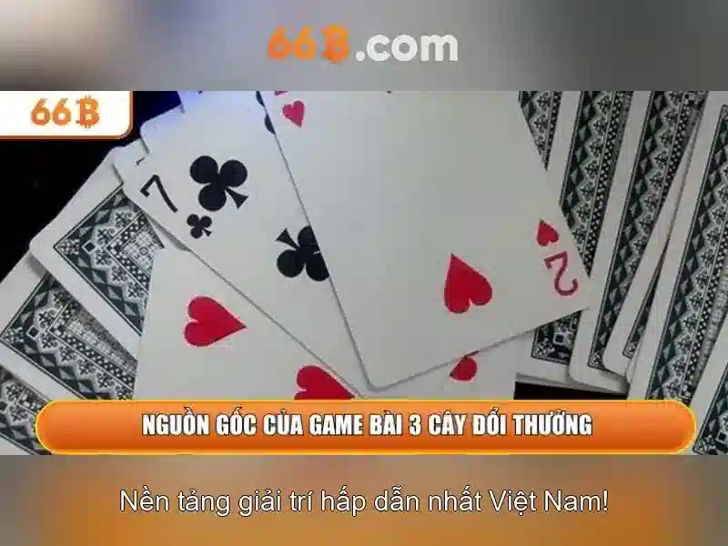 66b là gì
