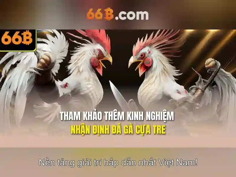Ứng dụng tiềm năng và thách thức của 66B