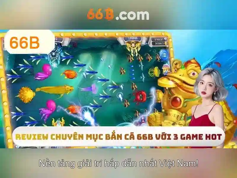 66B là gì và tại sao nó quan trọng