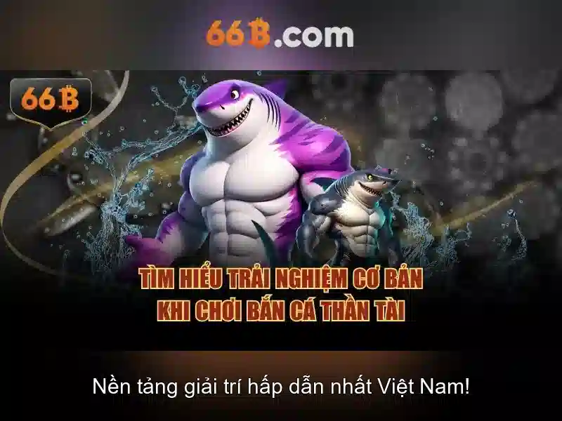 Những thách thức và tiềm năng của 66b