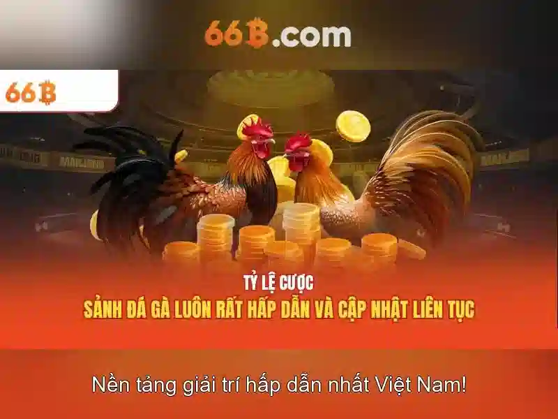Tương lai của 66B và thách thức