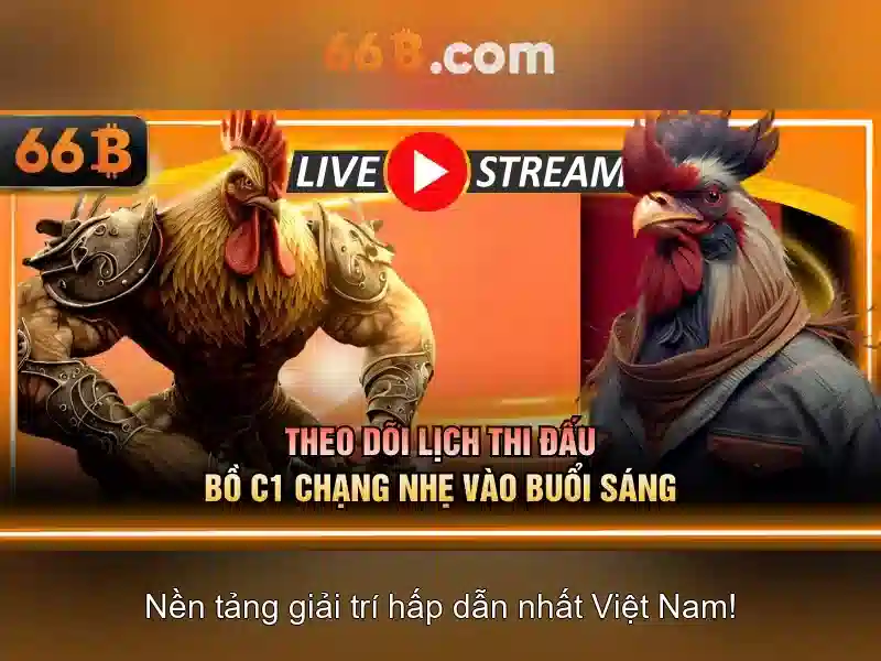 Khái niệm cơ bản