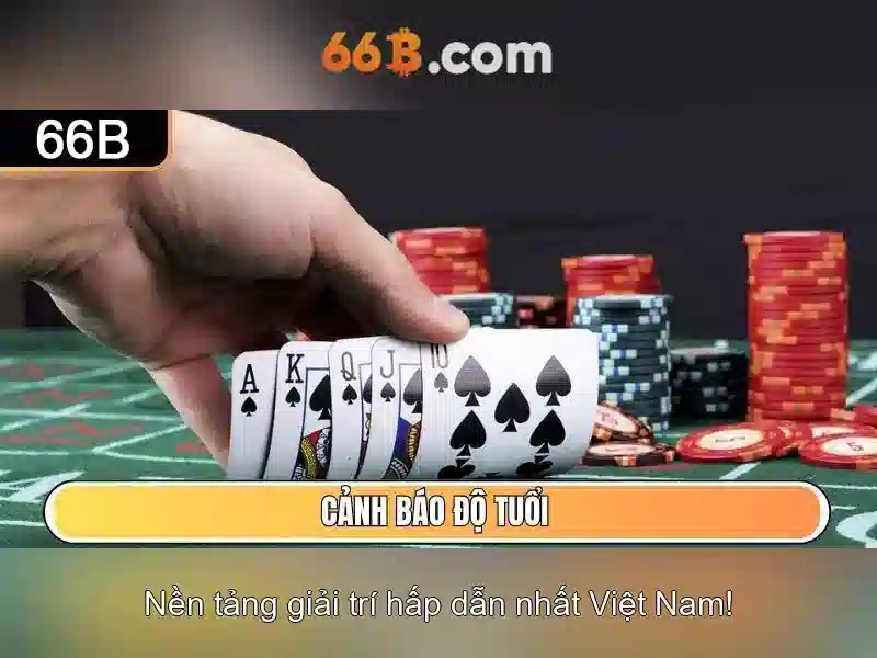Hiệu suất và huấn luyện