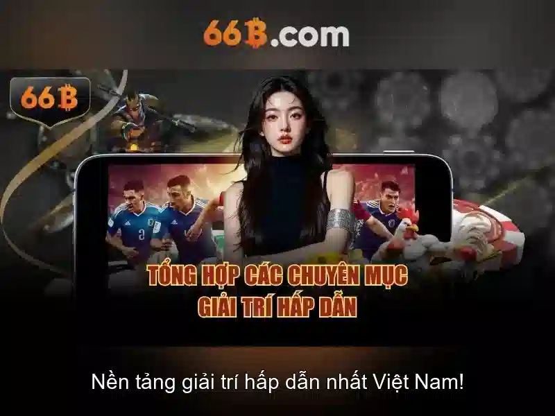 66B là gì?