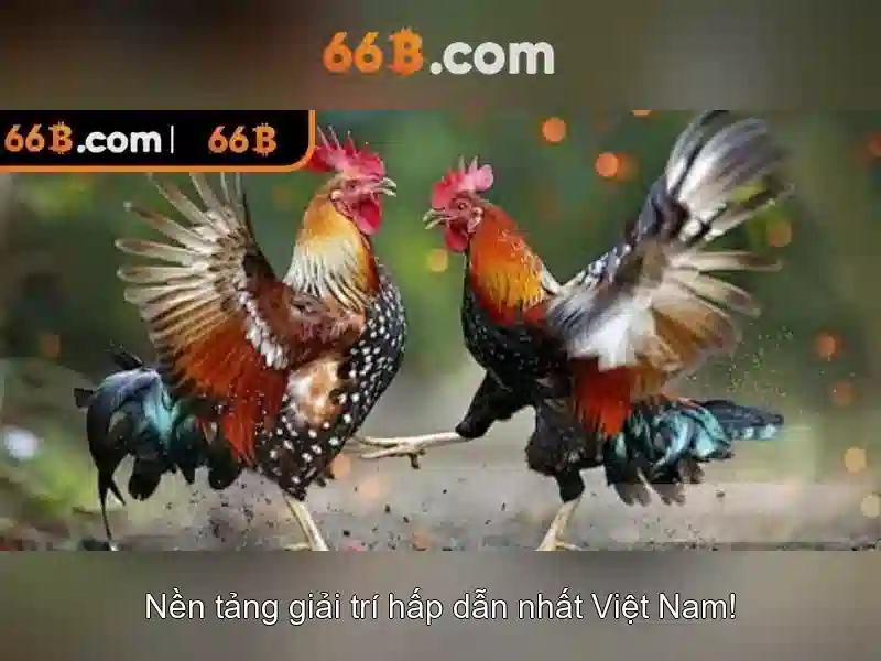 Hiệu suất và ứng dụng