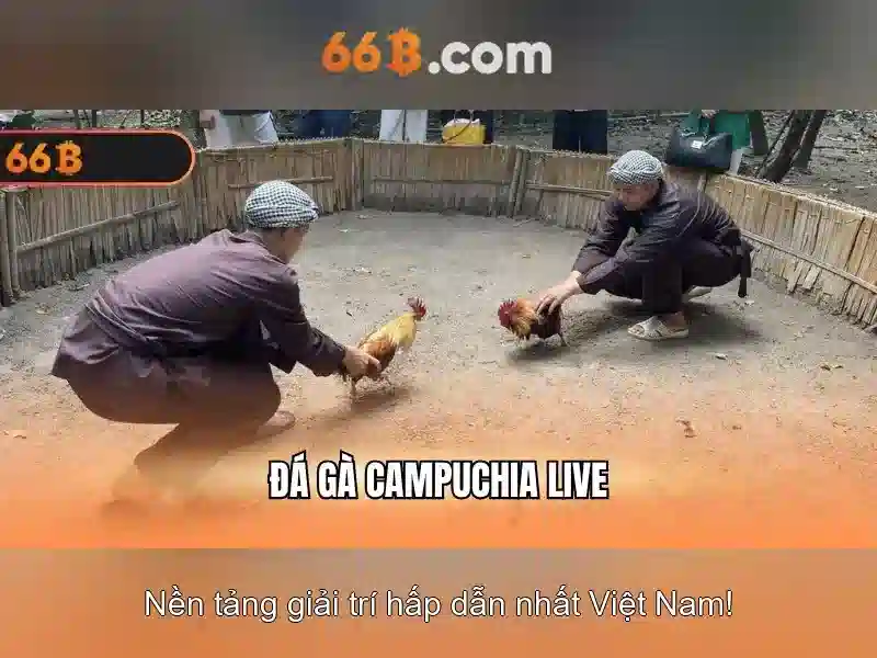 Bull Bull trực tuyến