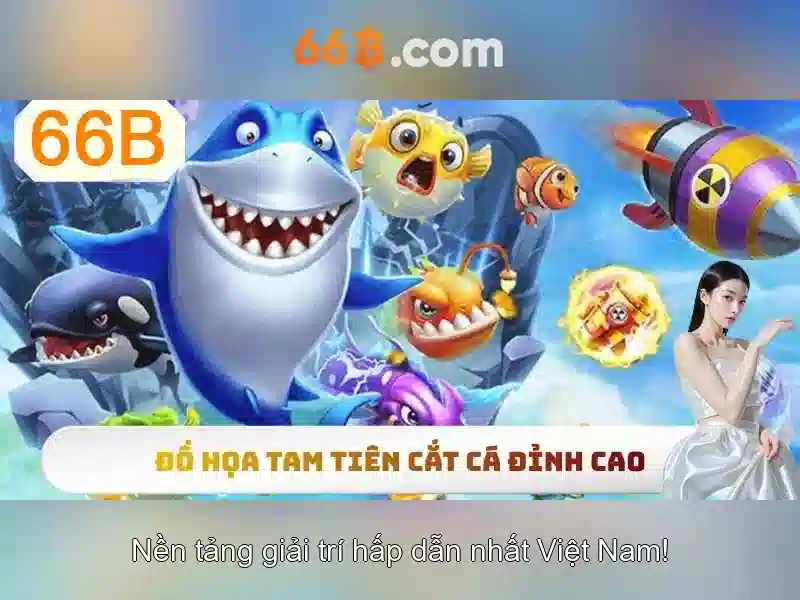 66b là gì?
