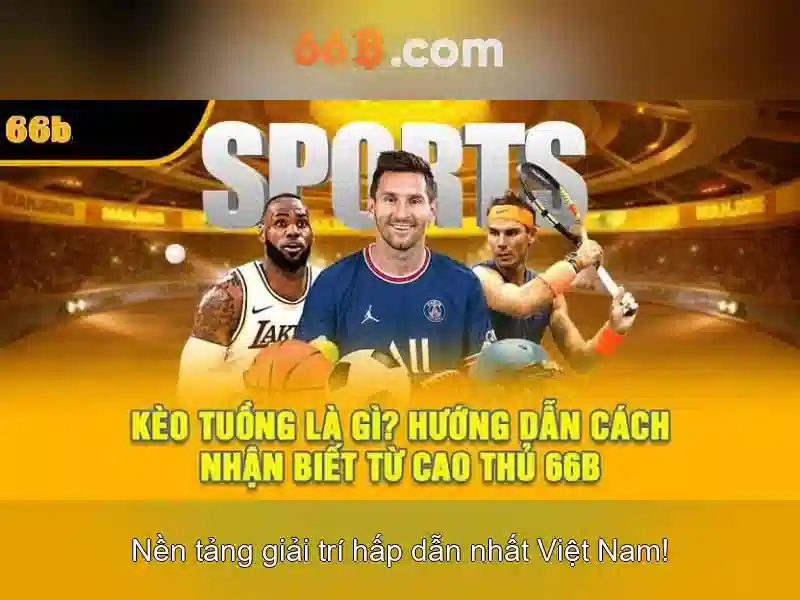 66B là gì và tại sao nó quan trọng