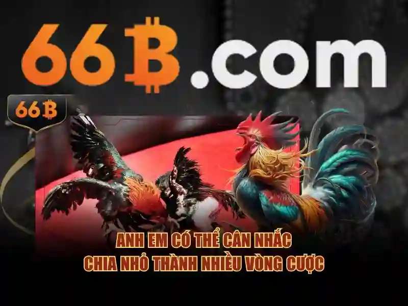 66b là gì?