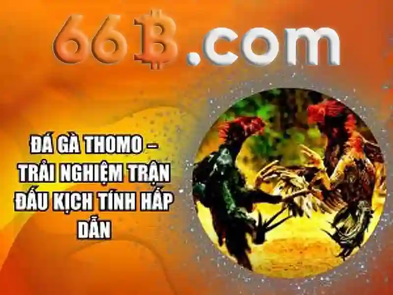 Việt Vị Trong Bóng Đá