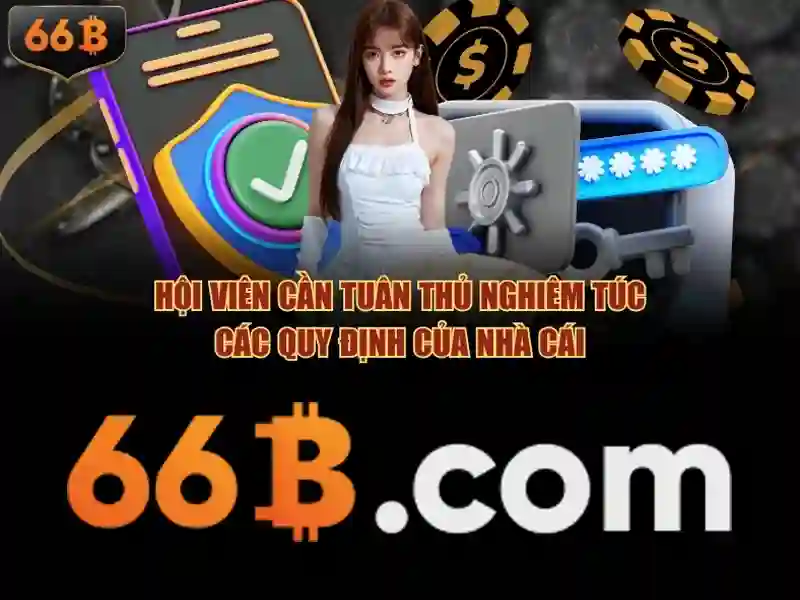 Giới thiệu về 66B