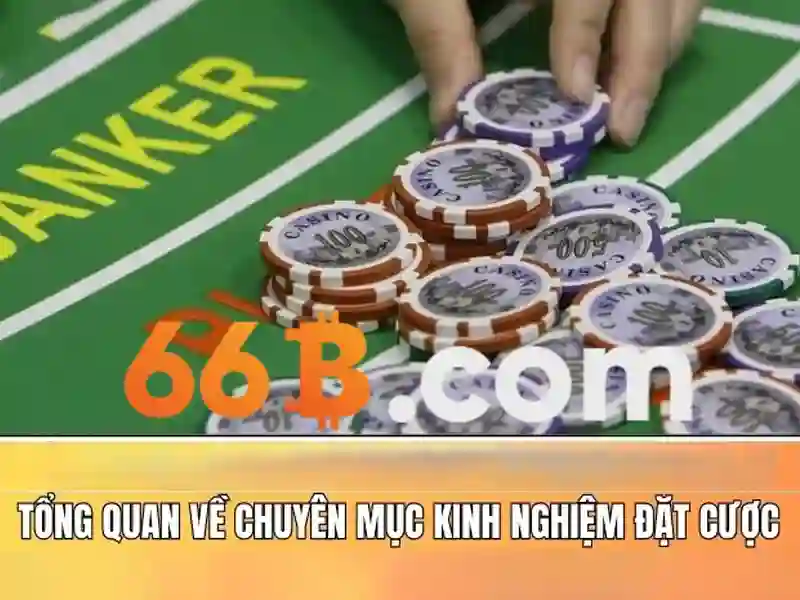 Ứng dụng và thách thức của 66B