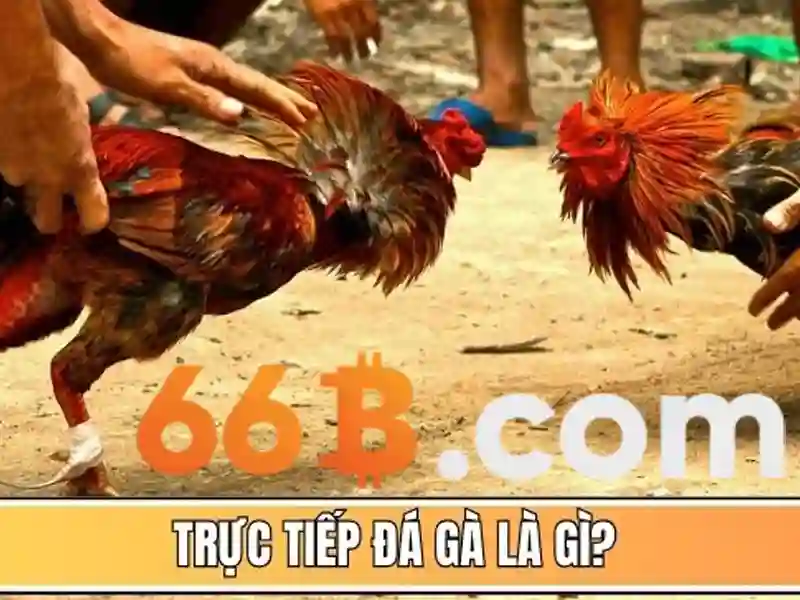 Lịch sử và mục đích của 66B