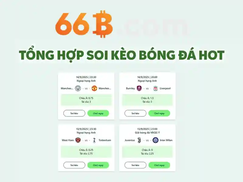 Kiến trúc và đặc điểm kỹ thuật